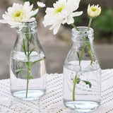 SCHOOL MILK BOTTLE VASE WILD FLOWERS