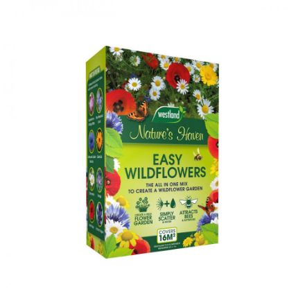 Picture of WESTLAND EASY WILDFLOWER SEEDS