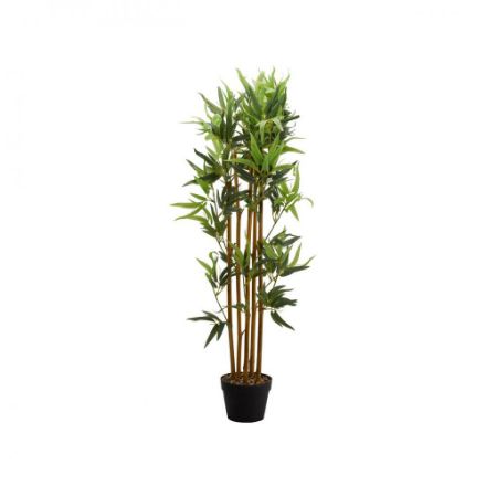 Picture of BAMBOO PLANT 120CM