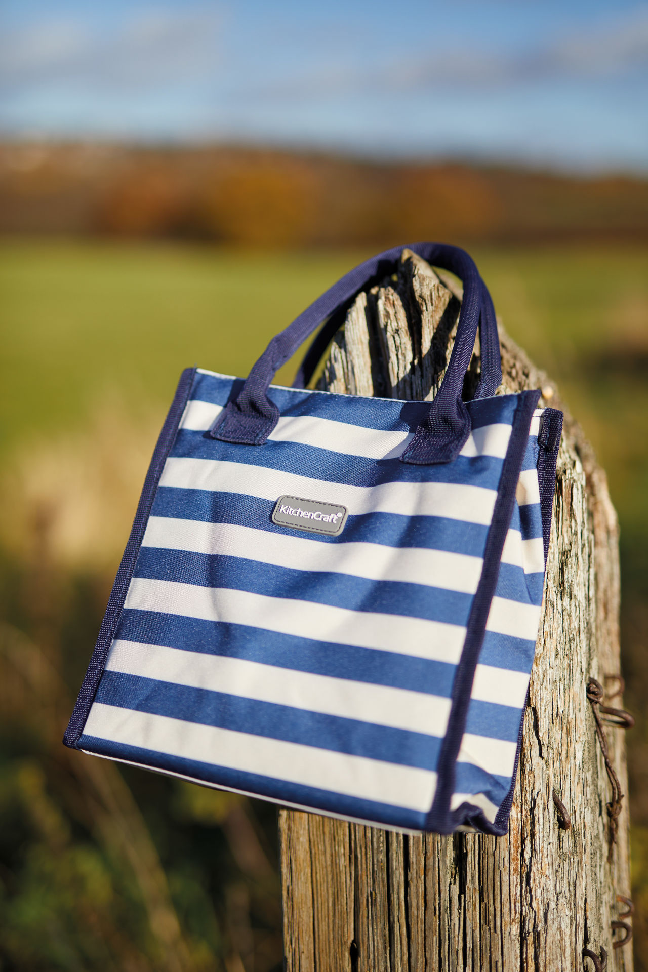 Picture of BLUE STRIP COOLBAG