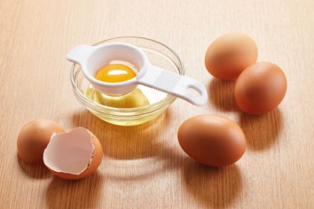Picture of EGG SEPARATOR